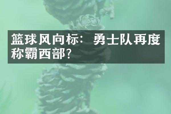 篮球风向标：勇士队再度称霸西？