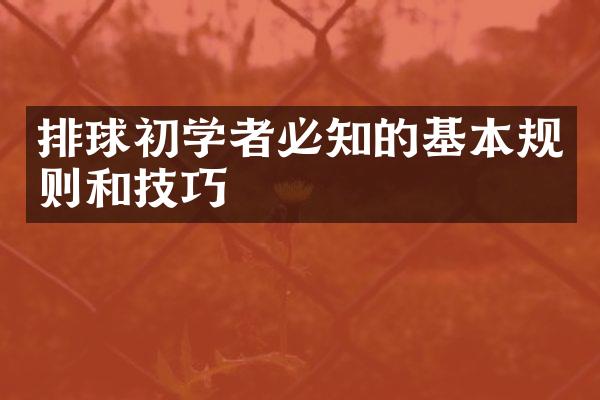 排球初学者必知的基本规则和技巧