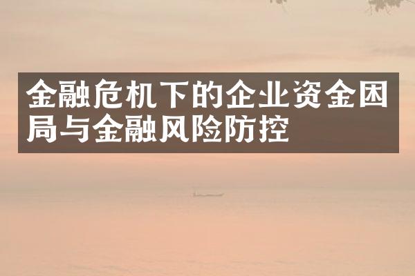 金融危机下的企业资金困局与金融风险防控