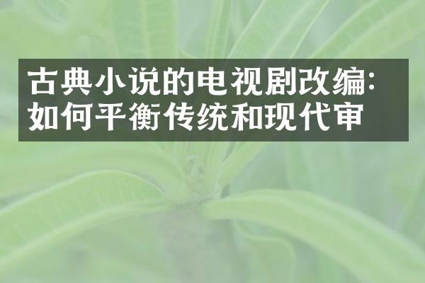 古典小说的电视剧改编：如何平衡传统和现代审美