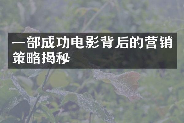 一部成功电影背后的营销策略揭秘