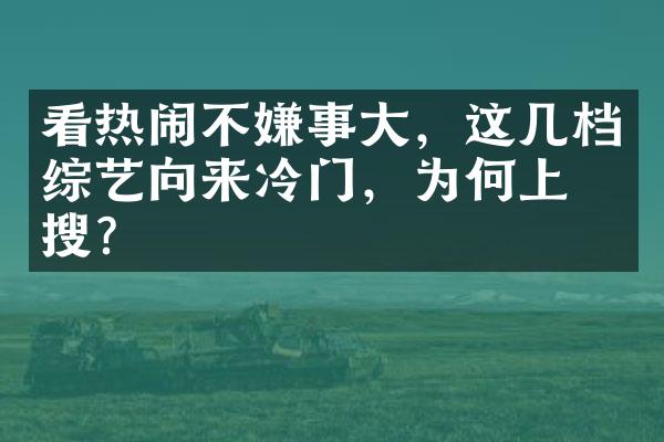 看热闹不嫌事大，这几档综艺向来冷门，为何上热搜？