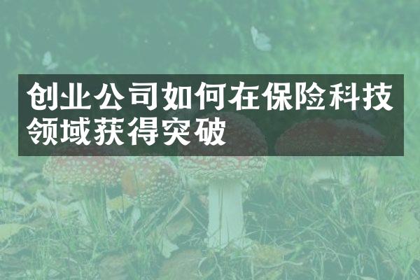 创业公司如何在保险科技领域获得突破