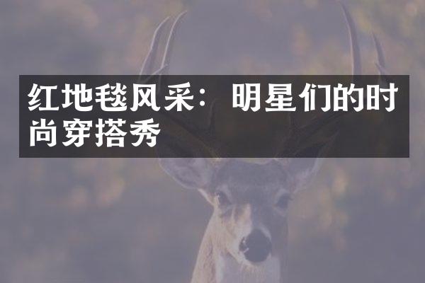 红地毯风采：明星们的时尚穿搭秀