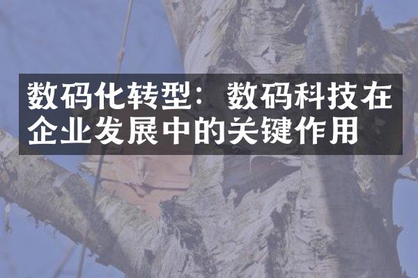 数码化转型：数码科技在企业发展中的关键作用