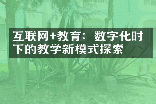 互联网+教育：数字化时代下的教学新模式探索