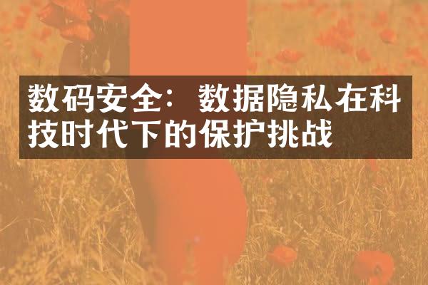 数码安全：数据隐私在科技时代下的保护挑战