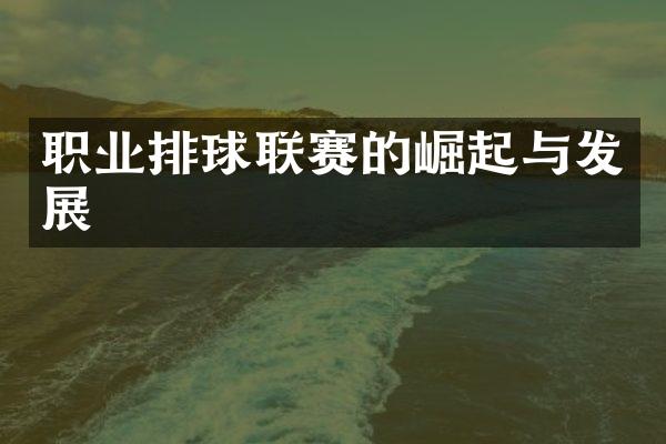 职业排球联赛的崛起与发展