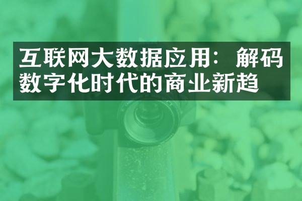 互联网大数据应用：解码数字化时代的商业新趋势