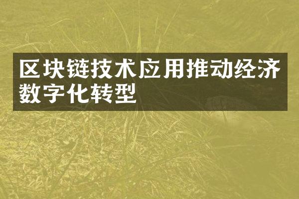 区块链技术应用推动经济数字化转型