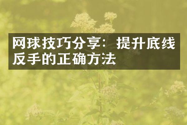 网球技巧分享：提升底线反手的正确方法