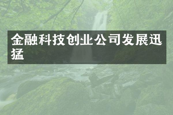 金融科技创业公司发展迅猛