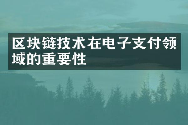 区块链技术在电子支付领域的重要性