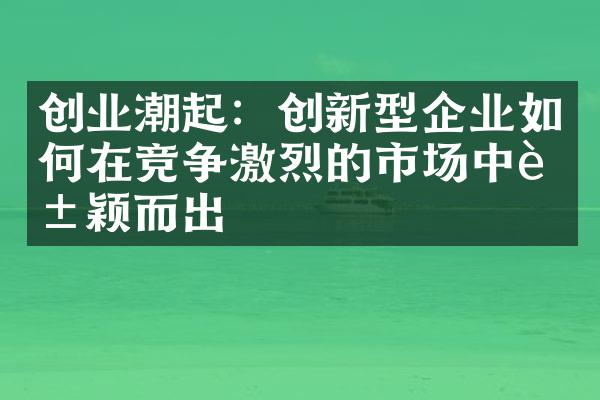 创业潮起：创新型企业如何在竞争激烈的市场中脱颖而出