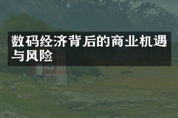 数码经济背后的商业机遇与风险