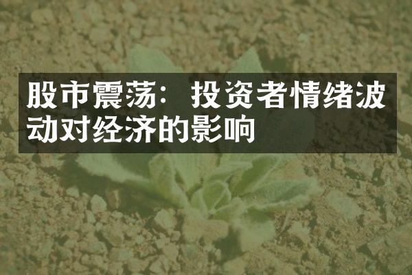 股市震荡：投资者情绪波动对经济的影响