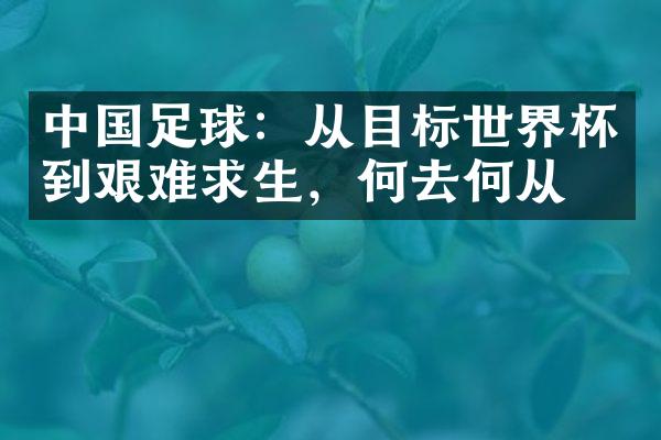 中国足球：从目标世界杯到艰难求生，何去何从？