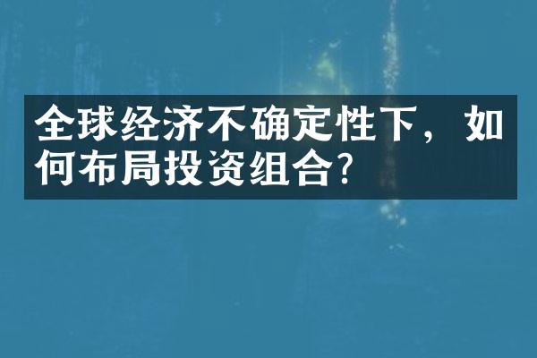 全球经济不确定性下，如何布局投资组合？