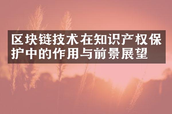 区块链技术在知识产权保护中的作用与前景展望