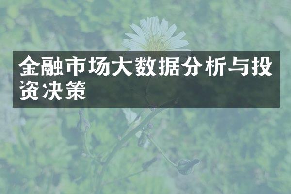 金融市场大数据分析与投资决策