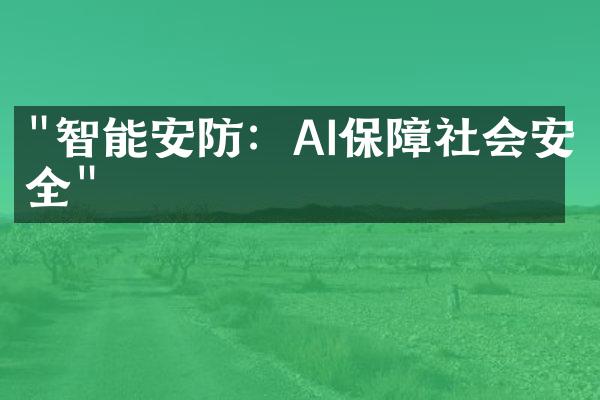 "智能安防：AI保障社会安全"