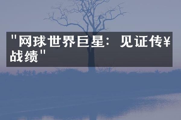 "网球世界巨星：见证传奇战绩"