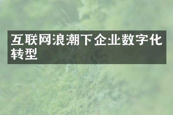 互联网浪潮下企业数字化转型