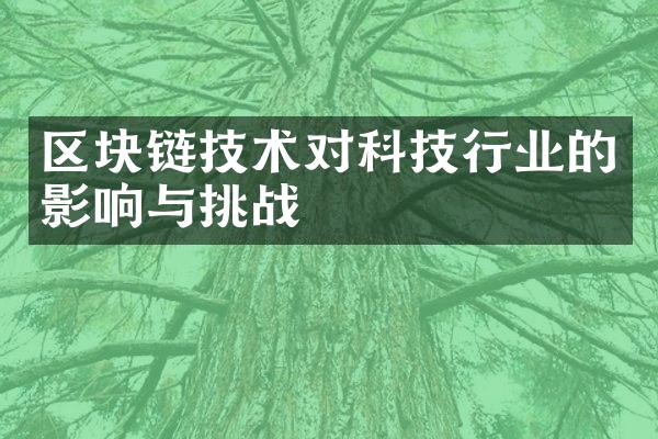 区块链技术对科技行业的影响与挑战