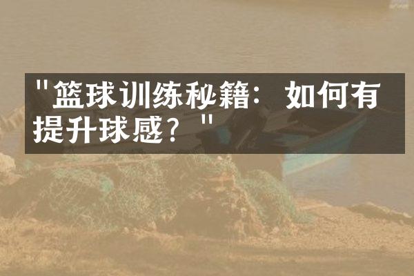 "篮球训练秘籍：如何有效提升球感？"