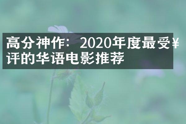 高分神作：2020年度最受好评的华语电影推荐