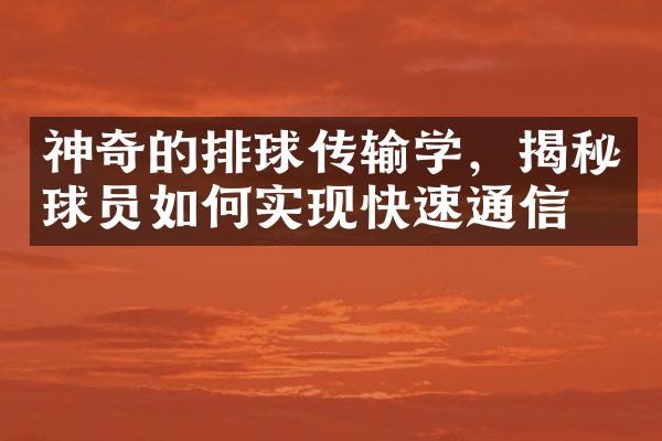 神奇的排球传输学，揭秘球员如何实现快速通信