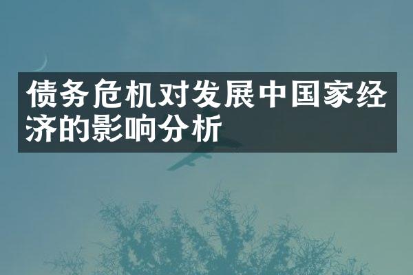 债务危机对发展中国家经济的影响分析