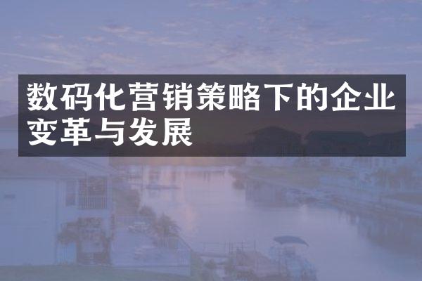 数码化营销策略下的企业变革与发展