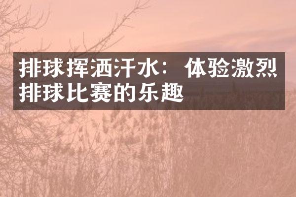 排球挥洒汗水：体验激烈排球比赛的乐趣