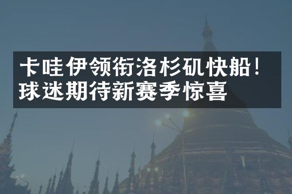 卡哇伊领衔洛杉矶快船！球迷期待新赛季惊喜