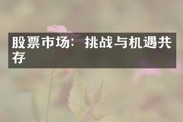 股票市场：挑战与机遇共存