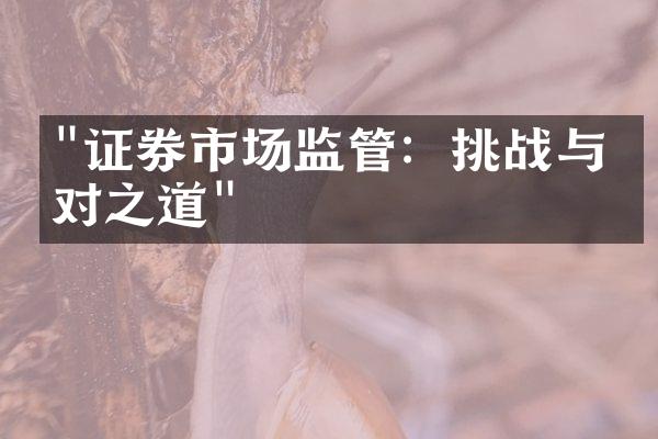 "证券市场监管：挑战与应对之道"