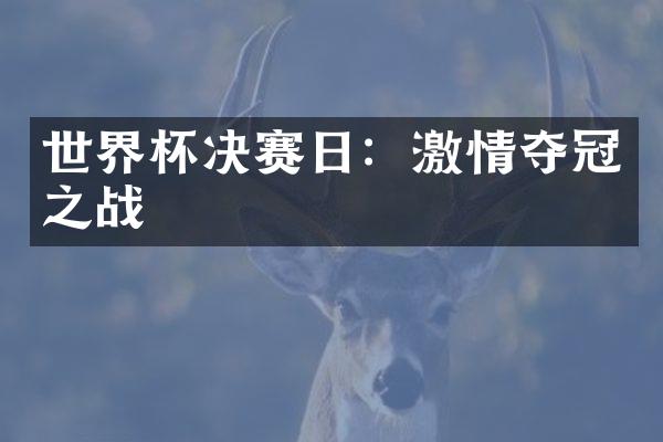 世界杯决赛日：激情夺冠之战