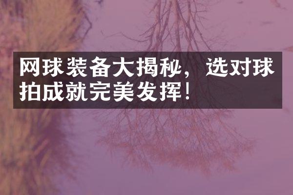 网球装备大揭秘，选对球拍成就完美发挥！