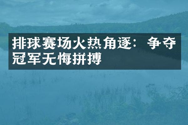 排球赛场火热角逐：争夺冠军无悔拼搏