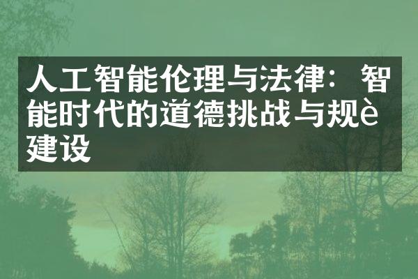 人工智能伦理与法律：智能时代的道德挑战与规范建设