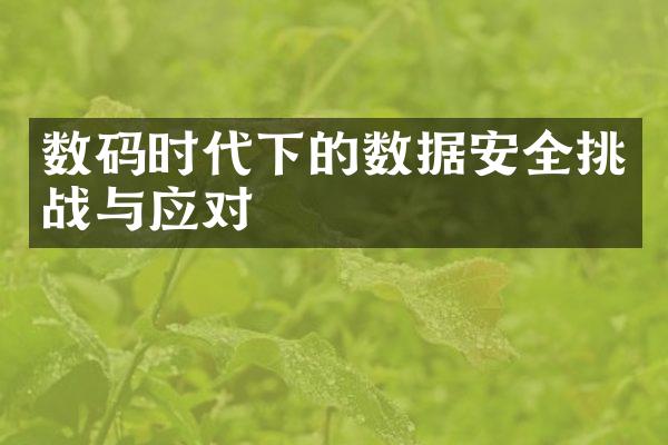 数码时代下的数据安全挑战与应对