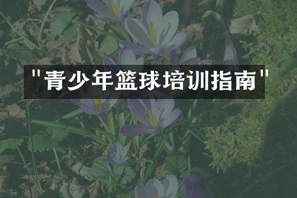 "青少年篮球培训指南"