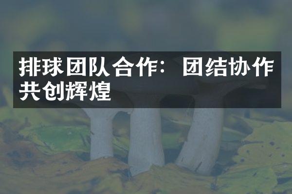 排球团队合作：团结协作共创辉煌