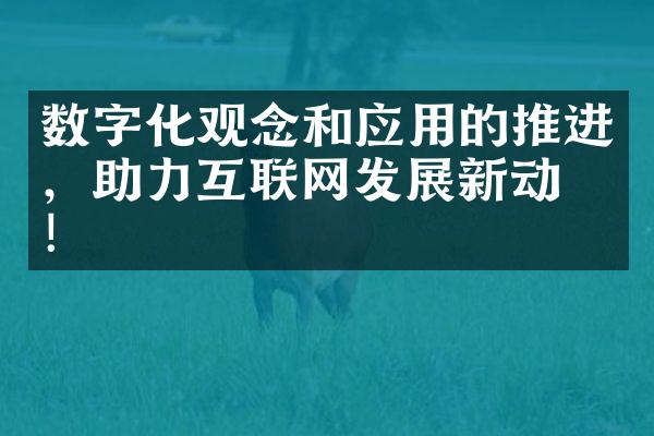 数字化观念和应用的推进，助力互联网发展新动力！