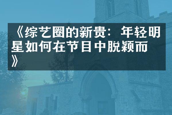 《综艺圈的新贵：年轻明星如何在节目中脱颖而出》