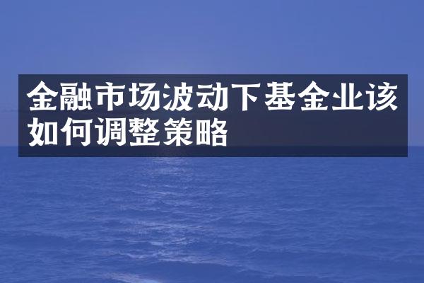 金融市场波动下基金业该如何调整策略