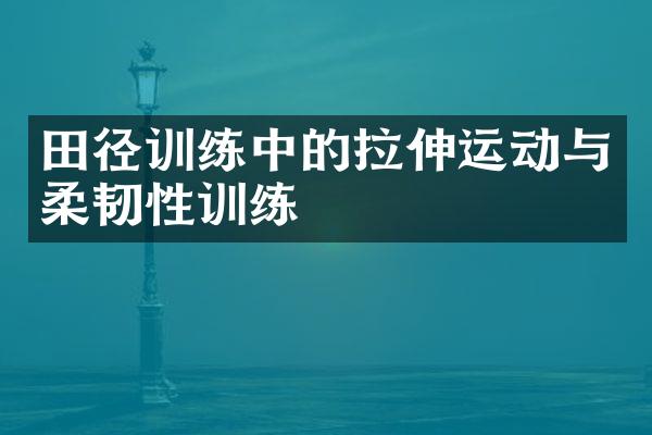 田径训练中的拉伸运动与柔韧性训练