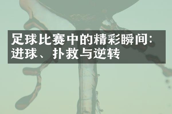 足球比赛中的精彩瞬间：进球、扑救与逆转