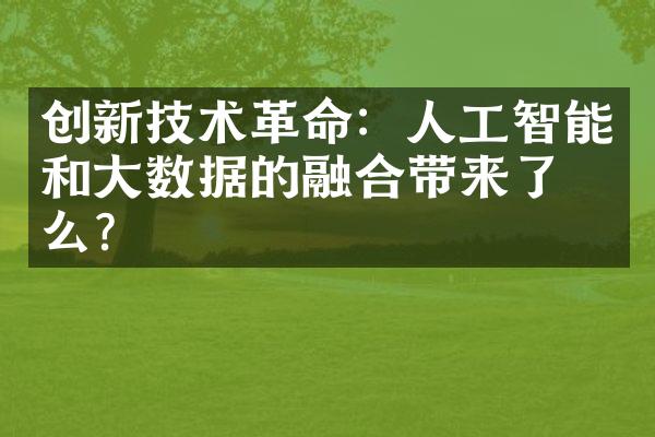 创新技术革命：人工智能和大数据的融合带来了什么？